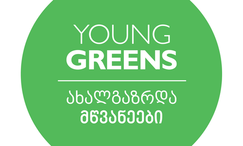 "ახალგაზრდა მწვანეები" ტრამვაის კამპანიას იწყებენ