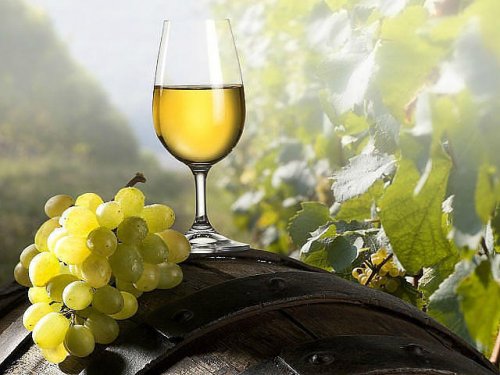 ნარინჯისფერი ღვინოების ათეულში ორი ქართული ქარვისფერი ქვევრის ღვინო დაასახელა